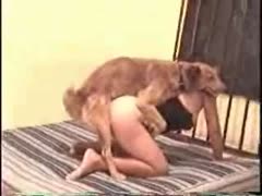 Hot dog sex on the bed with wife